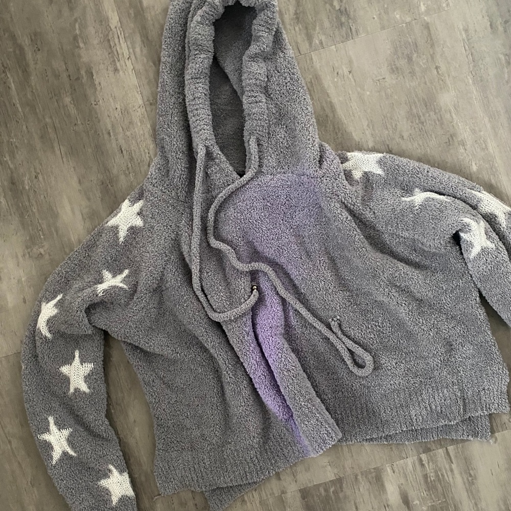 Vici dolls cropped hoodie